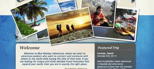 Identitiy Design, Website Design and Development for Blue Monkey Adventure by The Imagination Factory
