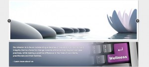 Website Design and Development for The Wellness Network by The Imagination Factory